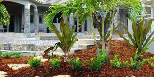 Landscaping Company, Landscaping Service, Plant Installation, Flower Beds, Rock Installation, Mulch Installation, Free Estimate