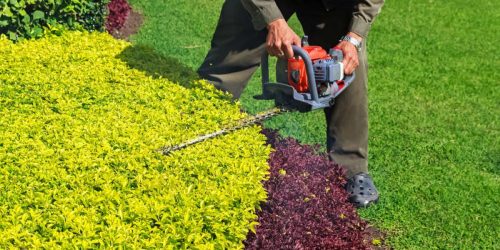 Lawn Care, Yard Clean Up, Shrub Trimming, Lawn Mowing Service, Grass Cutting, Lawn Care, Free Estimate