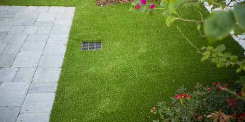 Lawn Clean Up, Brush Clean Up, Lawn Care, Seasonal Yard Clean Up, Fall Clean Up, Spring Clean Up, Free Estimate