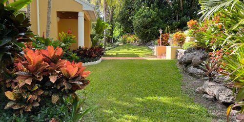 Lawn Clean Up, Brush Clean Up, Lawn Care, Seasonal Yard Clean Up, Fall Clean Up, Spring Clean Up, Free Estimate