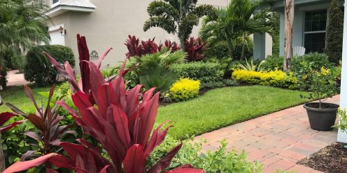 Lawn Clean Up, Brush Clean Up, Lawn Care, Seasonal Yard Clean Up, Fall Clean Up, Spring Clean Up, Free Estimate