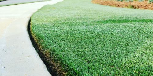 Lawn Mowing Service, Grass Cutting, Lawn Care, Free Estimate