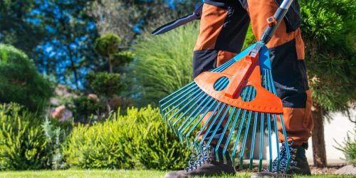 Lawn Clean Up, Brush Clean Up, Lawn Care, Seasonal Yard Clean Up, Fall Clean Up, Spring Clean Up, Free Estimate