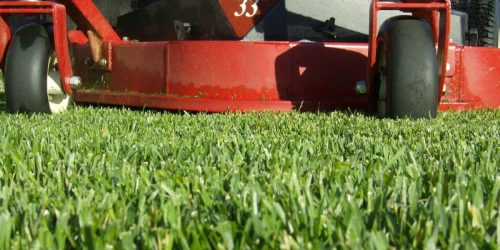 Lawn Mowing Service, Grass Cutting, Lawn Care, Free Estimate