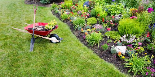 Lawn Clean Up, Brush Clean Up, Lawn Care, Seasonal Yard Clean Up, Fall Clean Up, Spring Clean Up, Free Estimate