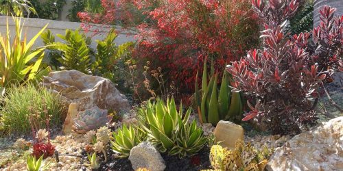 Zeroscaping, Xeriscaping, Landscaping Company, Landscaping Service, Plant Installation, Flower Beds, Rock Installation, Mulch Installation, Free Estimate