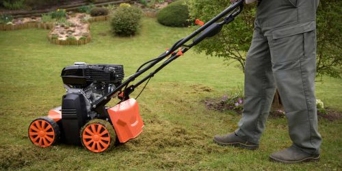 Lawn Maintenance, Lawn Care, Lawn Dethatching Service, Free Estimate